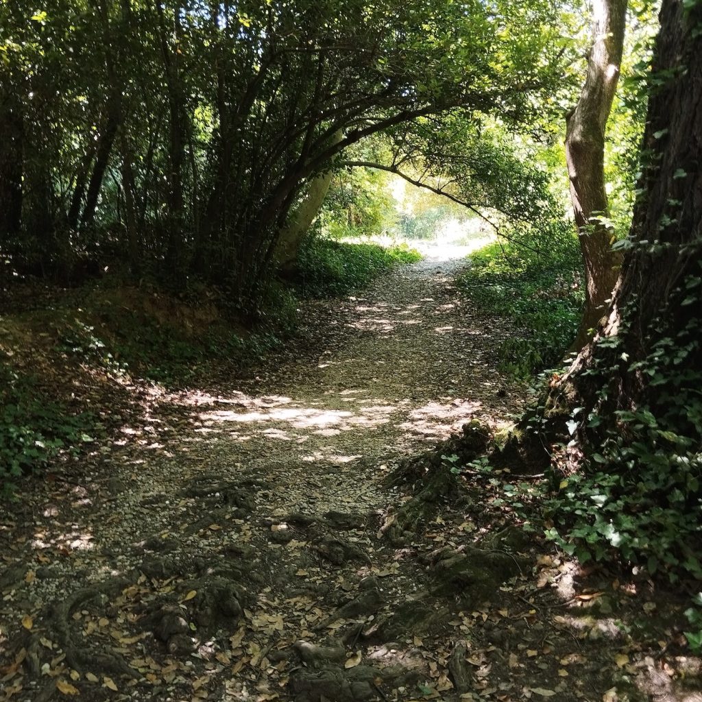 Walking Trails Near Cetina River At Radman Mills